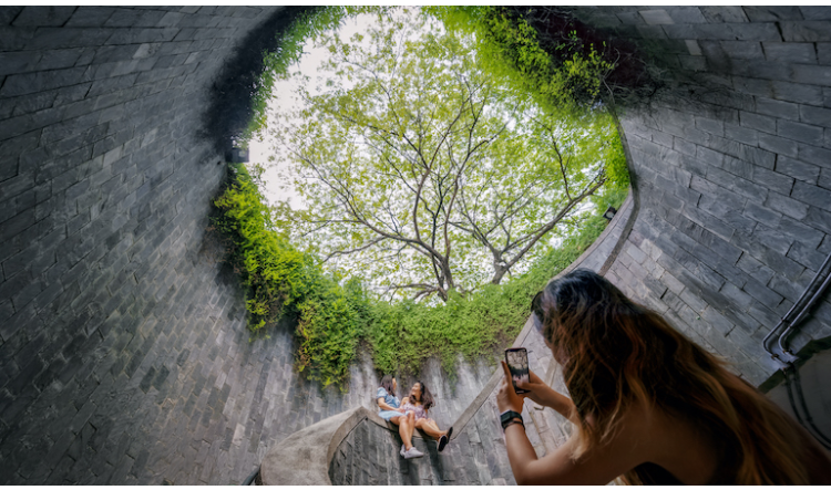 Chuyến Đi Siêu Tiết Kiệm