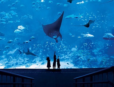 Trời Mưa Thì Nên Đi Đâu? - Kinh Nghiệm Du Lịch Tự Túc Singapore