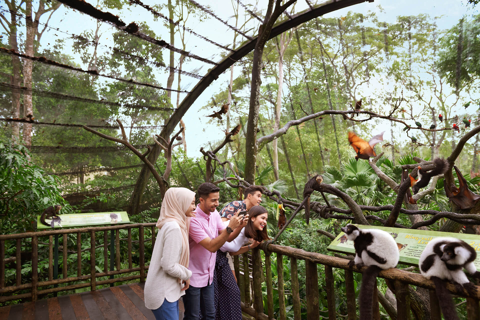 Deal Độc Quyền KetnoiSGDeals Cho Vé Singapore Zoo & River Wonders