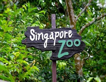 Singapore Zoo Ở Đâu Và Có Gì Đặc Biệt