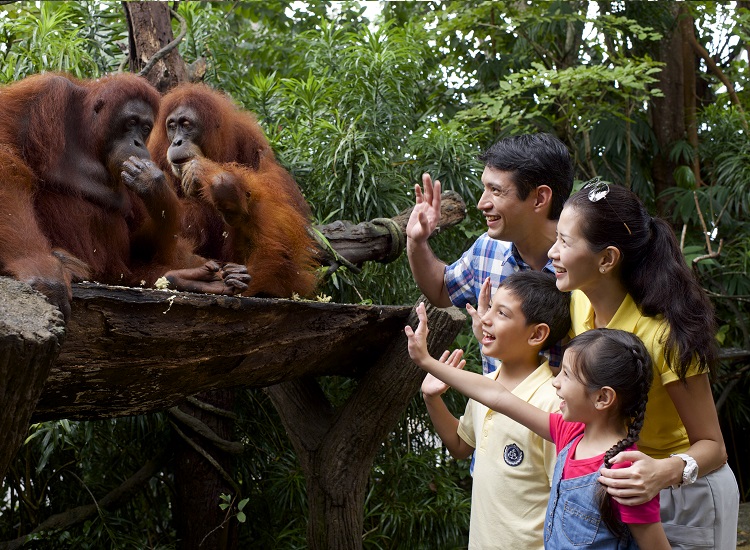 Thiên Nhiên Hoang Dã